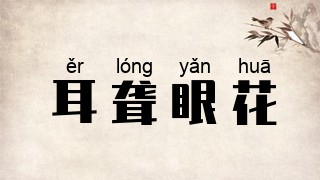 耳聋眼花
