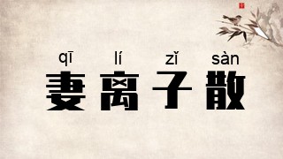 妻离子散