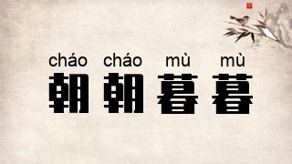 朝朝暮暮