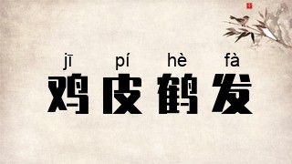 鸡皮鹤发