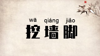 挖墙脚