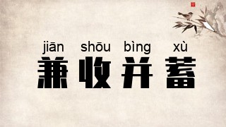 兼收并蓄