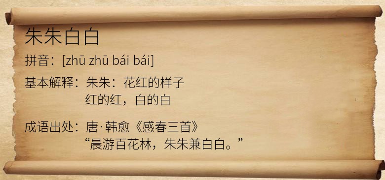 朱朱白白