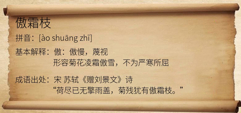 傲霜枝
