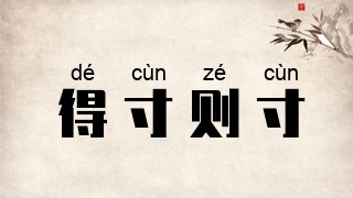 得寸则寸