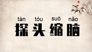 探头缩脑