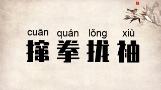 撺拳拢袖