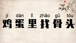 鸡蛋里找骨头