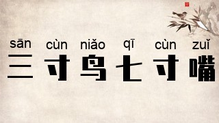 三寸鸟，七寸嘴