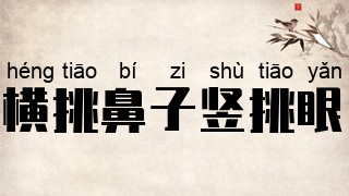 横挑鼻子竖挑眼