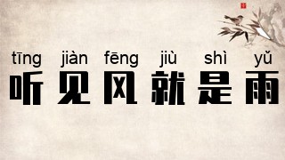 听见风就是雨