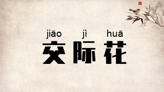 交际花