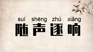 随声逐响