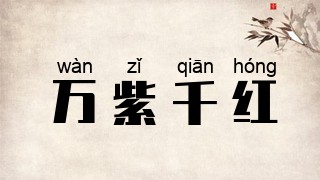 万紫千红