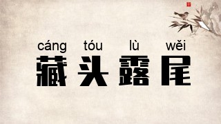 藏头露尾