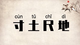 寸土尺地