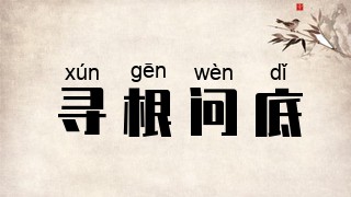 寻根问底