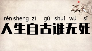 人生自古谁无死