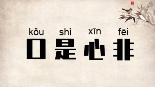 口是心非