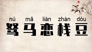 驽马恋栈豆