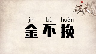 金不换