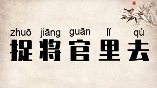 捉将官里去