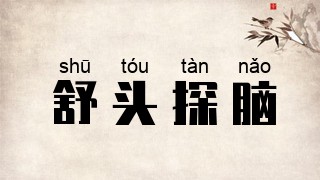 舒头探脑