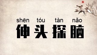 伸头探脑