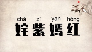 姹紫嫣红