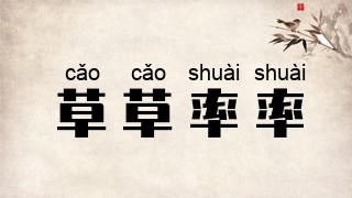 草草率率