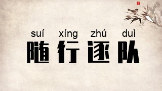 随行逐队