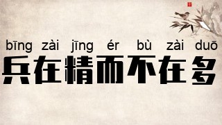 兵在精而不在多