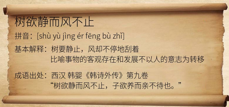 树欲静而风不止
