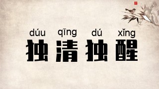 独清独醒