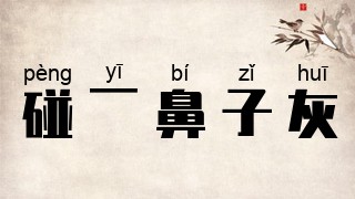 碰一鼻子灰