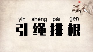 引绳排根