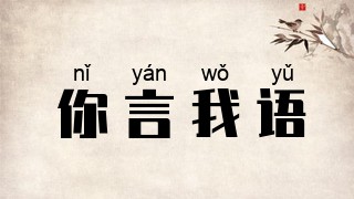 你言我语