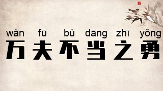 万夫不当之勇