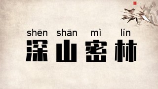 深山密林
