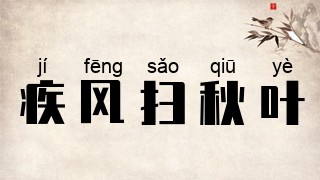 疾风扫秋叶