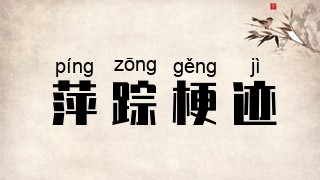 萍踪梗迹