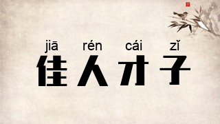 佳人才子