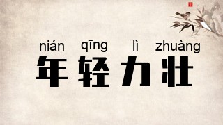 年轻力壮