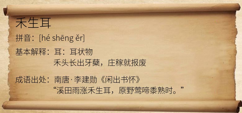 禾生耳