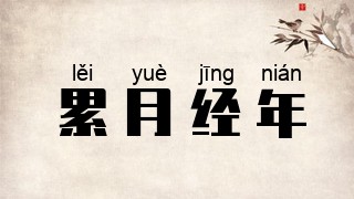 累月经年
