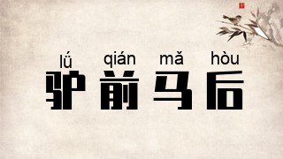 驴前马后