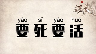 要死要活