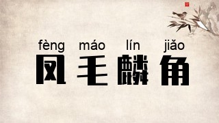 凤毛麟角