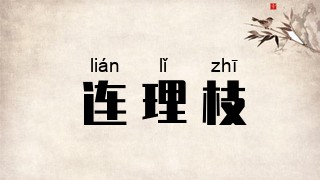 连理枝