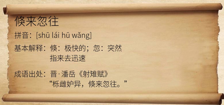 倏来忽往
